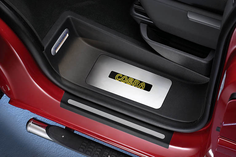2221_Detail_Cobra_gelb.jpg