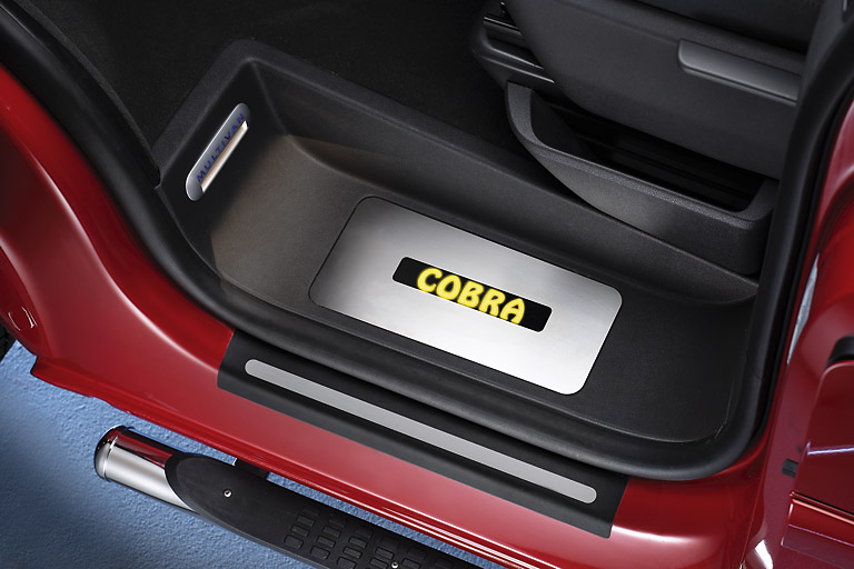 2271_Detail_Cobra_gelb_voll.jpg