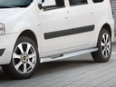 Dacia Logan Bj. 09-20: COBRA Chrom-Seitenschutzrohre