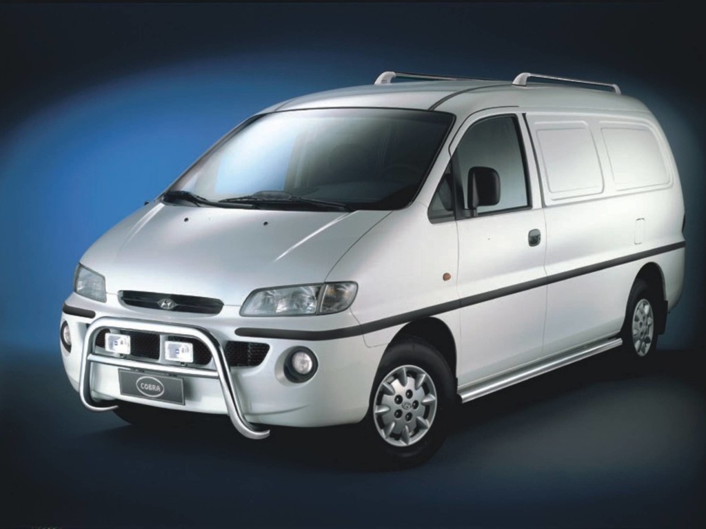Hyundai H200 Bj. 99 (kurzer Radstand): COBRA Chrom-Seitenschutzrohre