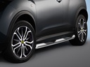 Nissan Juke 4WD bouwjaar 10-19 (vierwielaandrijving): COBRA verchroomde zijdelingse beschermbuizen met treden